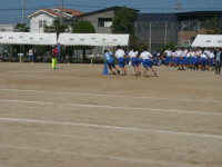 GEDC4880