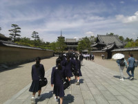 IMG_20260414_123840