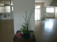 GEDC5805