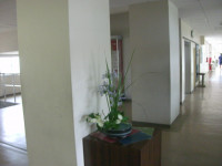 GEDC5980