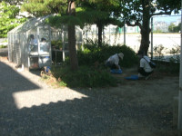 GEDC6152