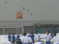 GEDC6330